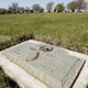 A plaque marks the gravesite of Emmett Till at Burr Oak Cemetery May 4, 2005 in Aslip, Illinois.